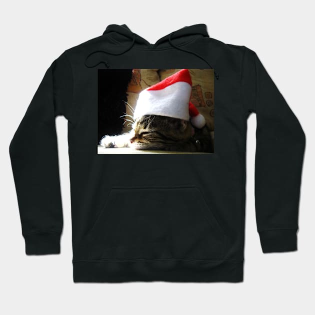 Twas The Night Before Christmas Hoodie by Ladymoose